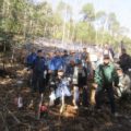 公益財団法人松ヶ崎立正会により松ヶ崎林山でアカマツの再生プロジェクトが実施されました。